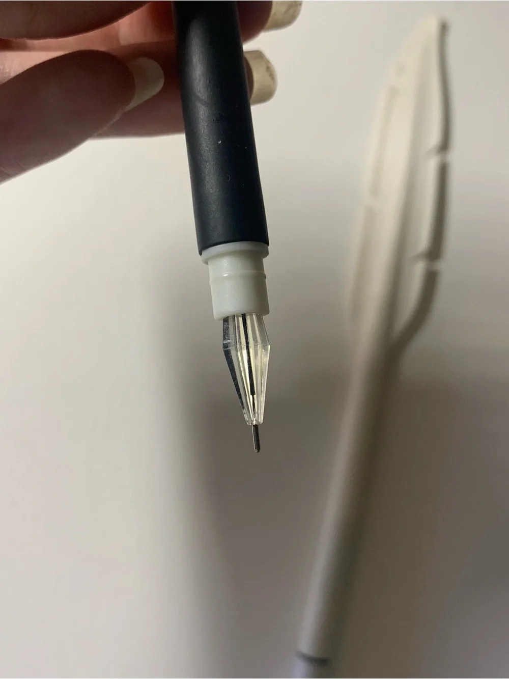 Black and white duo feather pens